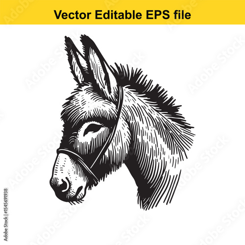 Detailed Illustration of a Donkey Head with Harness, Vintage Style Black and White Animal Portraiture