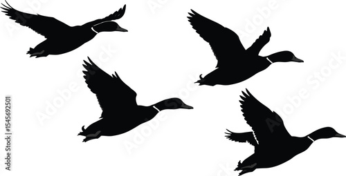 Flying duck silhouette vector illustration, wild waterfowl in motion, black bird clipart set, isolated duck shapes, migration concept artwork, nature animal design for prints.