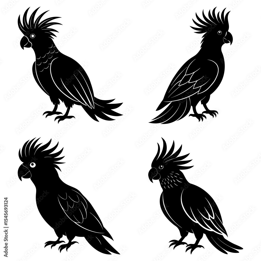 Fototapeta premium Four black cockatoos with crests in various poses on a white background in a vector illustration style