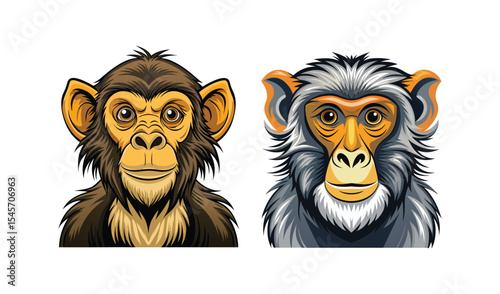 Two monkey portraits chimpanzee and baboon
