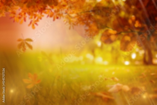 Leaves on grassy field during autumn