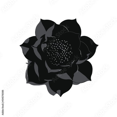 Black Silhouette Camellia Flower Vector with Tightly Packed Petals in Circular Bloom Shape on White Background Full HD