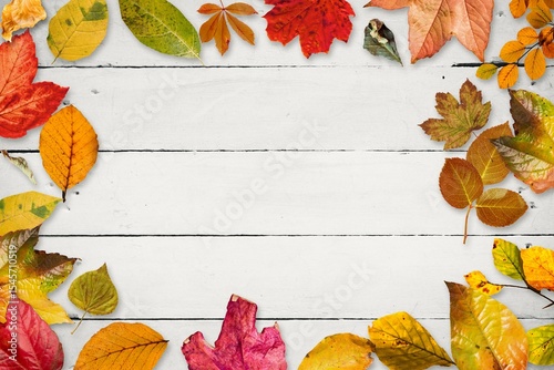Autumn leaves fallenAutumn leaves fallen on wooden background