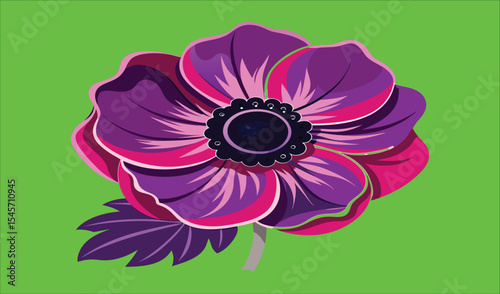 Vibrant purple and pink anemone flower on green background