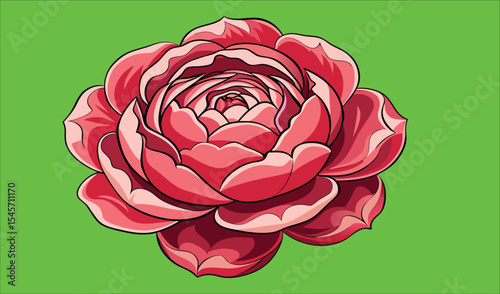 Single red rose blossom green screen illustration