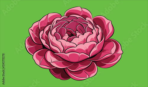 Pink peony flower illustration green background
