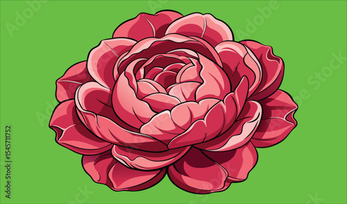 Single red rose bloom on green background