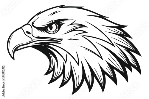 Detailed black and white rendering reveals an eagle head looking right attentively