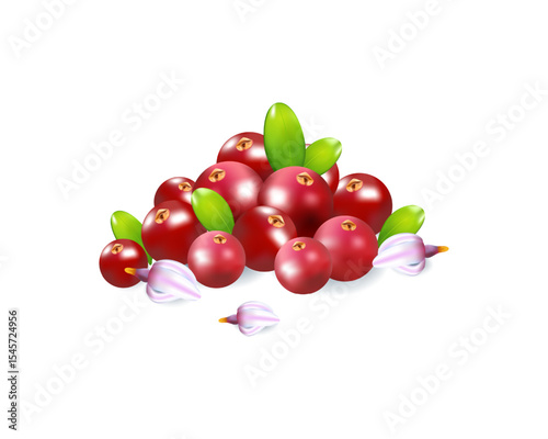 Set of realistic ripe berries on a white background