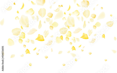 Yellow and white petals fall and fall on a white background