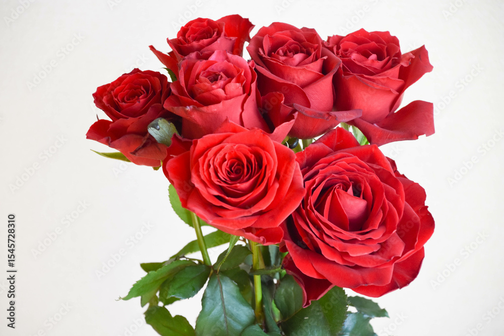 Obraz premium 赤いバラ