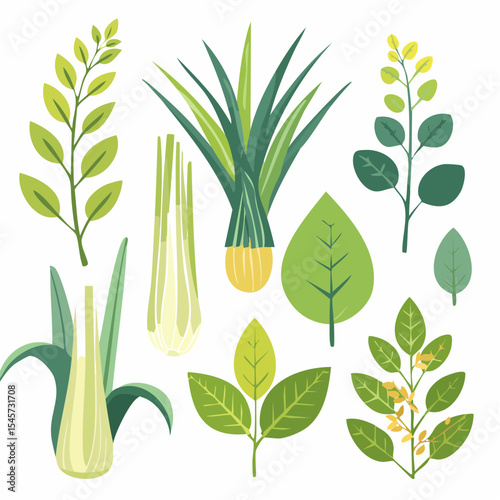 Fresh green leaves and herbs isolated on white, embodying the essence of nature's vibrant growth and spring's renewal