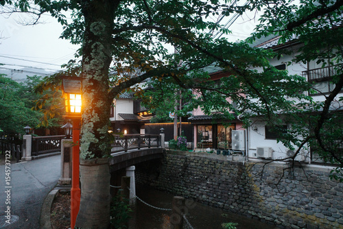 View of a lantern along the tree-lined canal in Kinosaki Onsen