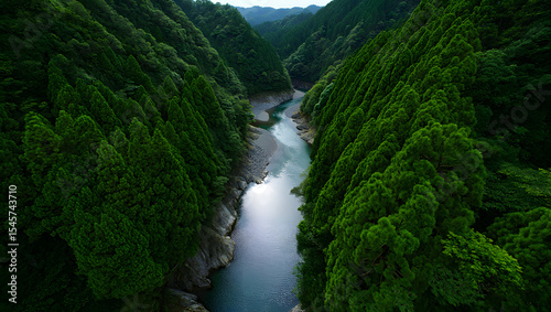 Aerial view of serene river valley lush green forest