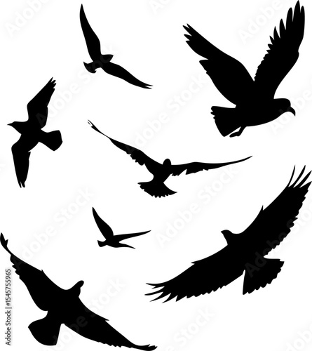 Flying Bird Silhouette Set – Eagle, Sparrow, Pigeon, Crow in Flight Poses