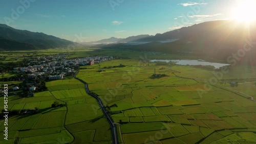 Aerial Panorama Drone Picture of Beautiful rice fields at sunrise, Chihshang Township, Taiwan