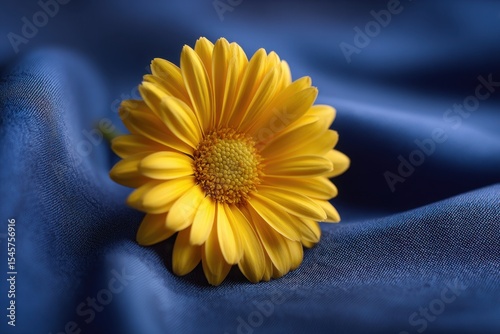 A single yellow flower sitting on a blue cloth
