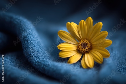A single yellow flower sitting on top of a blue blanket