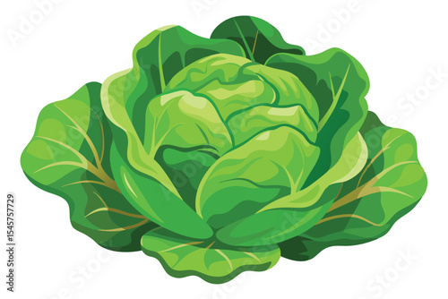 Fresh Green Lettuce A Vibrant Illustration of Crisp, Healthy Greens