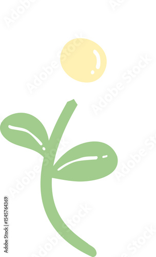 Cute White Flower Minimal Spring Illustration