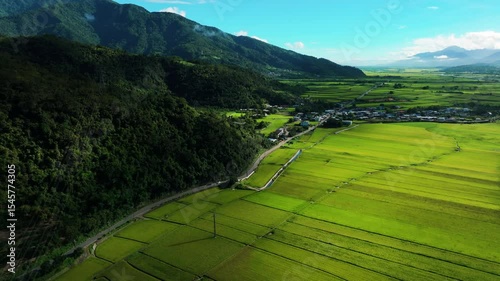 Aerial view of Beautiful rice fields and road, Taiwan