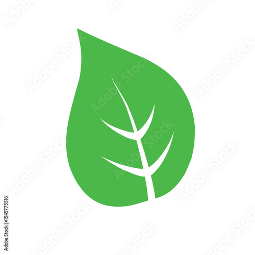 Natural set of abstract isolated green leaves icons, eco signs and label, plant branches, twigs tea and natural sprigs silhouettes on white background