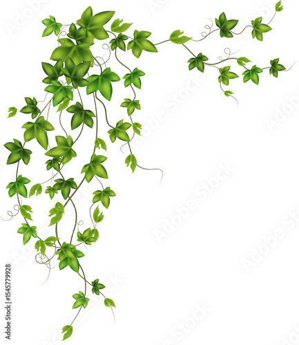 Set of green vine liana or ivy