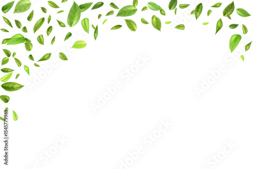 Flying or falling tea or mint leaves on white background