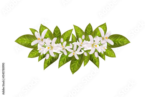 Labels of cosmetic skin care product design. vector illustration. realistic orange flowering branch, leaves, neroli flowers