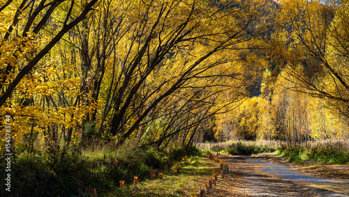 Autumn, Arrowtown, New Zealand