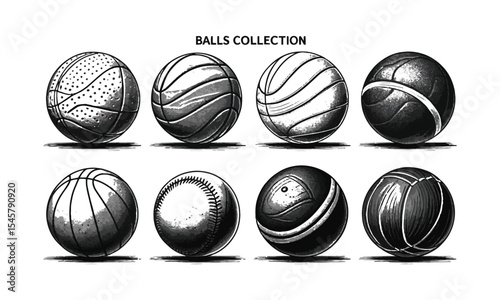 Modern vector illustration featuring a curated collection of eight different sports balls, Black and white ink drawings of eight different sports balls arranged, easily editable.