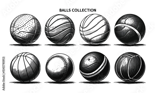 Modern vector illustration featuring a curated collection of eight different sports balls, Black and white ink drawings of eight different sports balls arranged, easily editable.