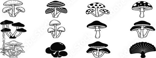 A diverse set of twelve, black and white mushroom illustrations, featuring various fungi species in a hand-drawn, isolated vector style for botanical design