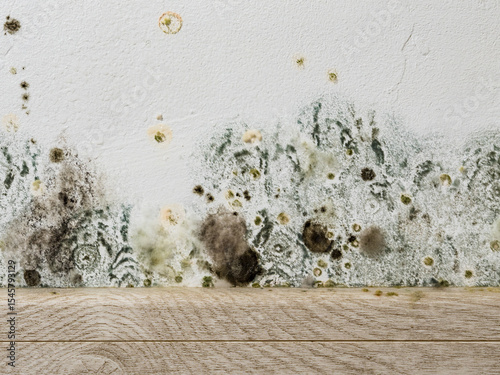 Mould and fungus growth on white wall