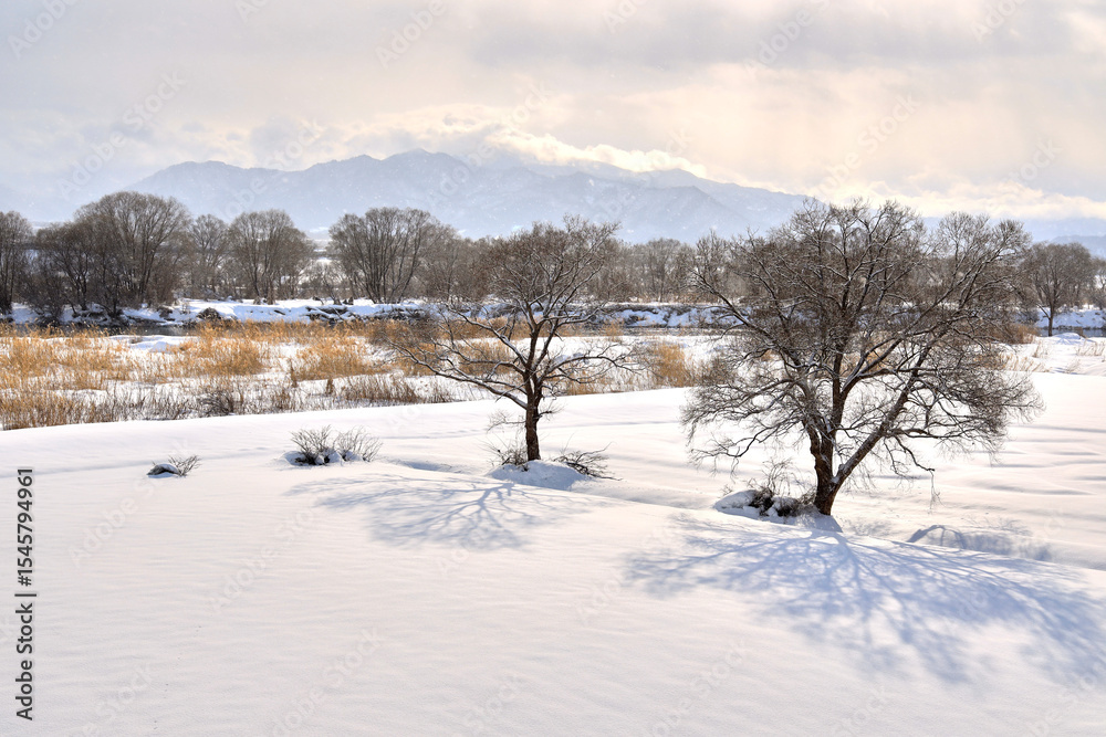 Obraz premium 冬の最上川