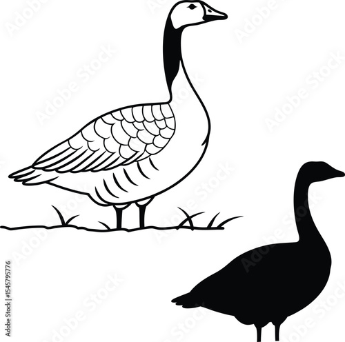 Vintage Goose Bird Vector Illustration  
