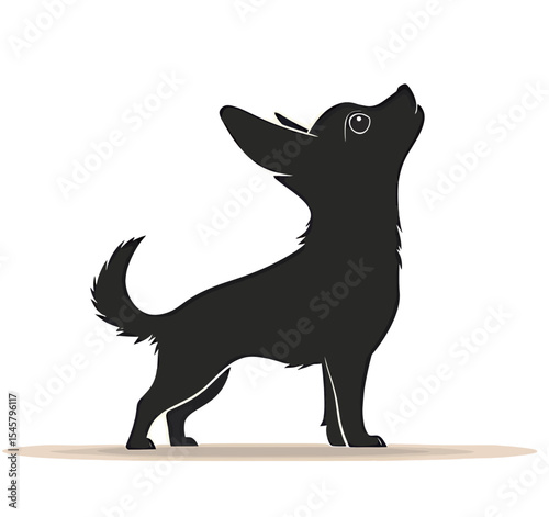 Silhouette of a curious black Chihuahua looking up