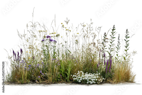 Vibrant patch of wildflowers and native grasses thriving in natural habitat with sunlight illuminating their colors