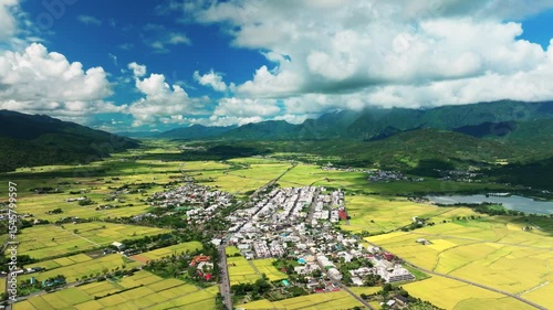 Aerial view of Beautiful rice fields, Chihshang Township, Taiwan