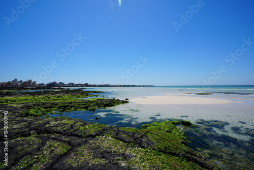 fine view with mossy rocks and clear water