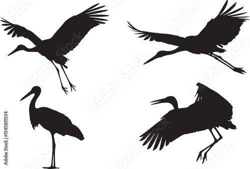 heron bird silhouette set in flight and standing poses representing wetlands, wildlife observation and avian grace
