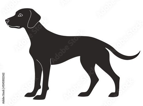 A silhouette of a standing black dog on a white background.