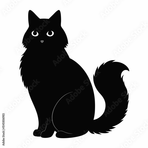 Adorable Fluffy Black Cat