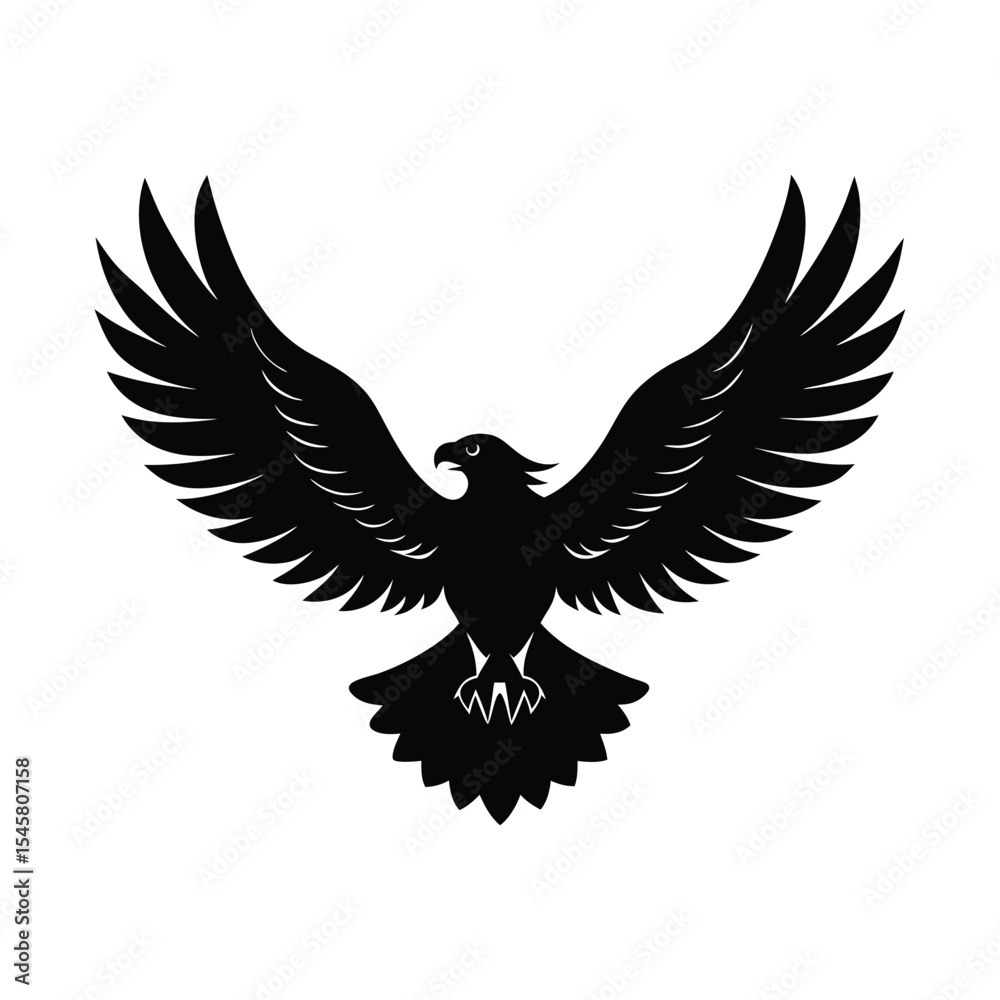 Obraz premium eagle with wings