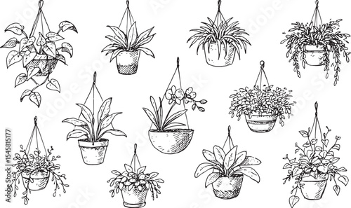 A charming collection of hand-drawn hanging plant pots featuring various lush greenery and flowering plants, perfect for home decor, botanical illustrations, or garden-themed designs. 