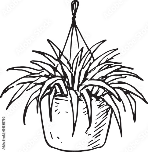 A charming hand-drawn hanging plant pot with dense, bushy greenery, great for botanical sketches, home styling, or garden decor. Fine lines capture the rich, natural leaf details