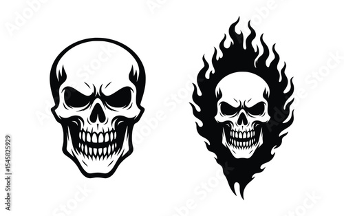 Flaming Skull & Classic Skull Vector Illustration