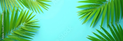 Vibrant palm fronds splayed on a soft blue backdrop Summery flatlay , image, photo
