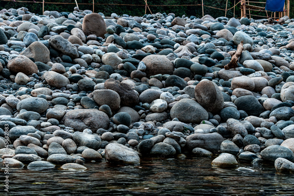 Obraz premium river in the forest