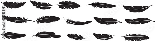 Collection of black feather silhouettes in various shapes